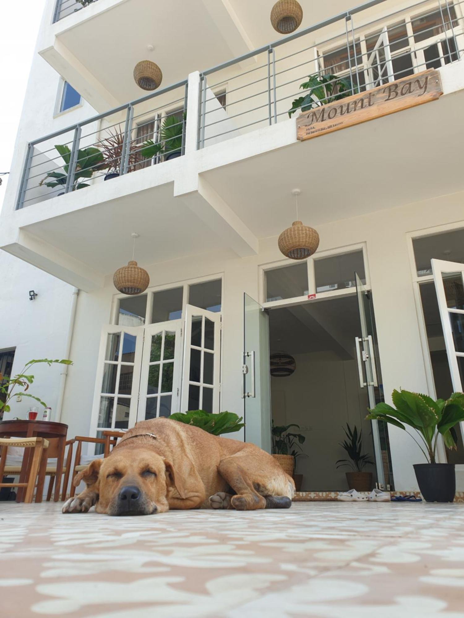 Mountbaylk Hotel Dehiwala-Mount Lavinia Buitenkant foto