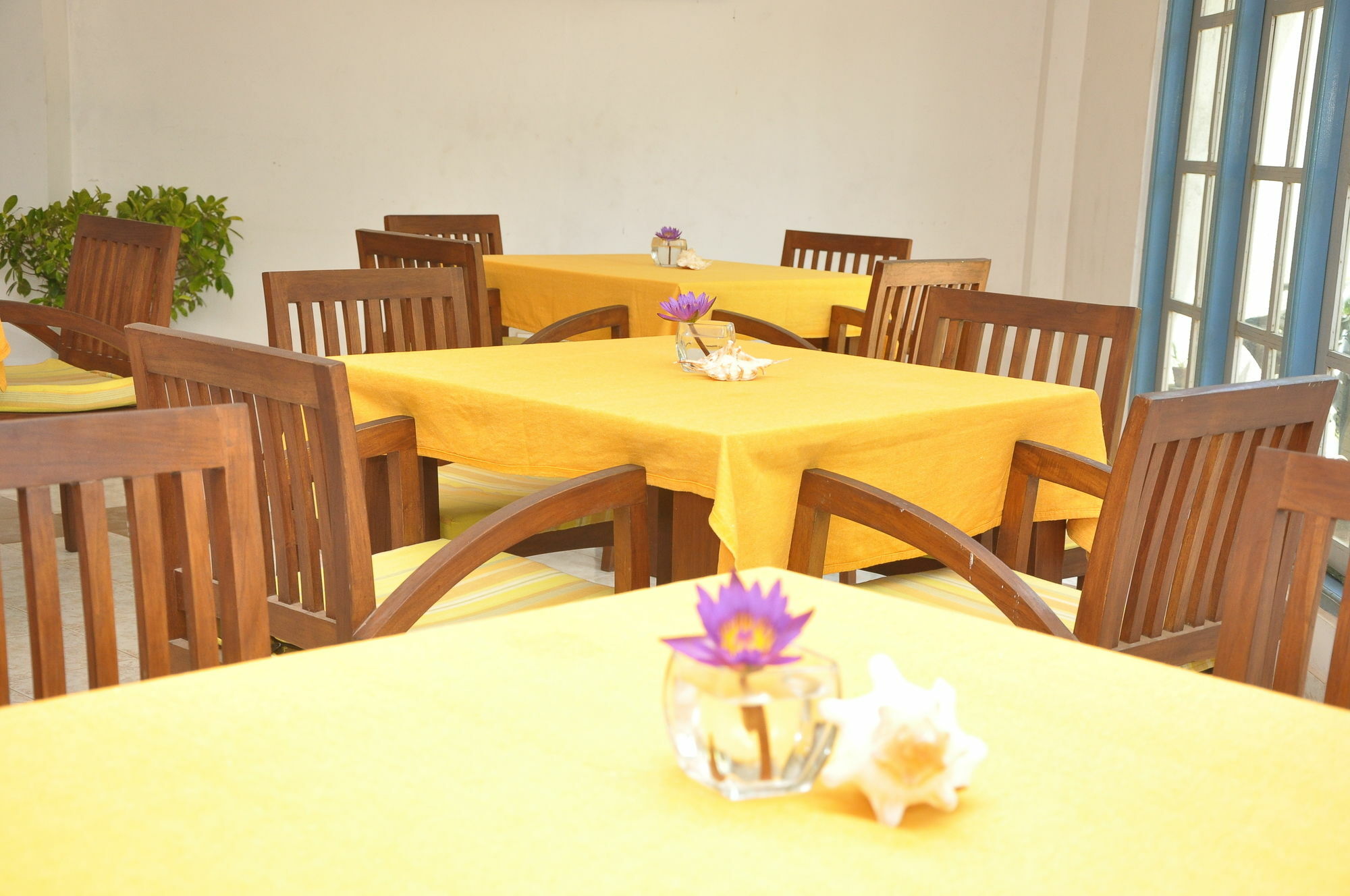 Mountbaylk Hotel Dehiwala-Mount Lavinia Buitenkant foto